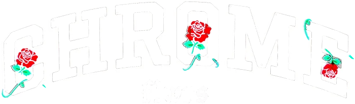 FS-Logo-Light
